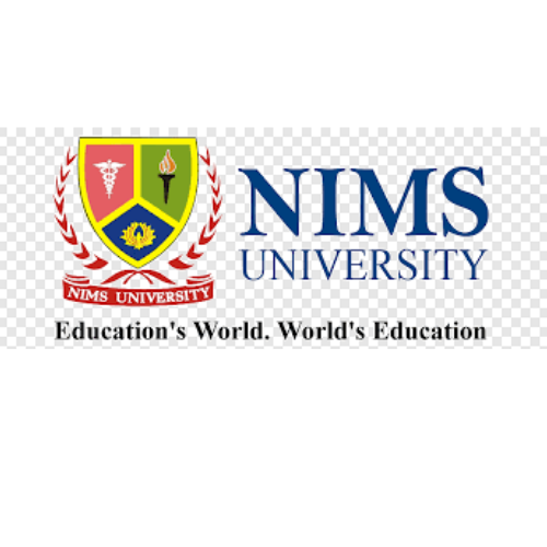 NIMS University